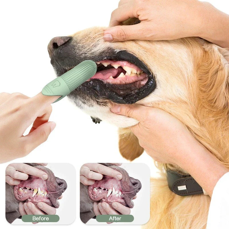 Gentle & Safe for Dogs