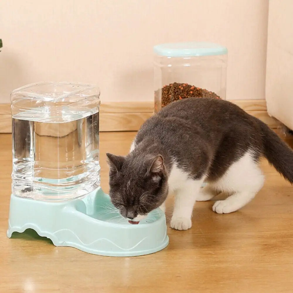 3.8L Automatic Pet Feeder & Water Dispenser
