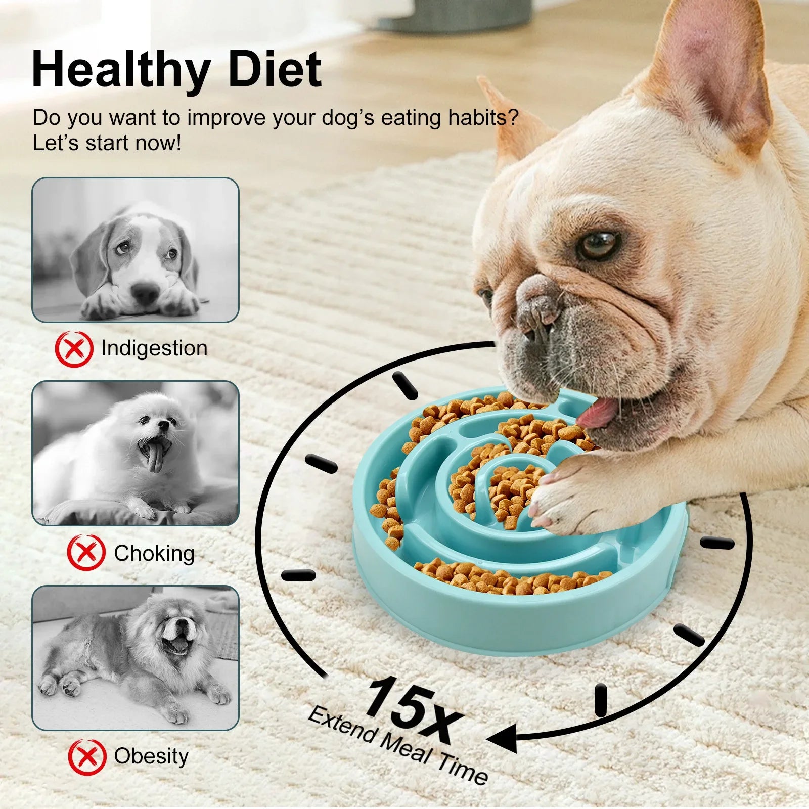 Pet Slow Food Bowl