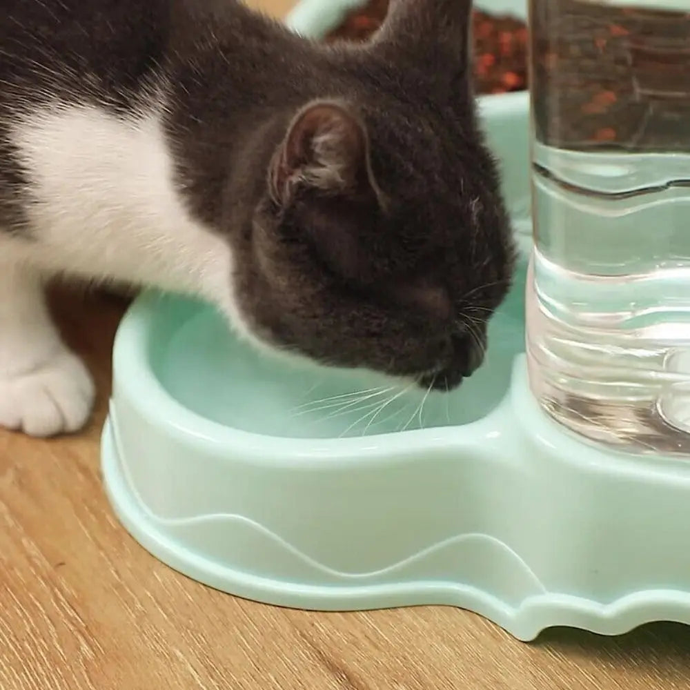 3.8L Automatic Pet Feeder & Water Dispenser