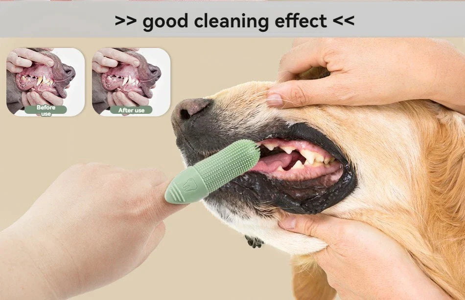 Gentle & Safe for Dogs