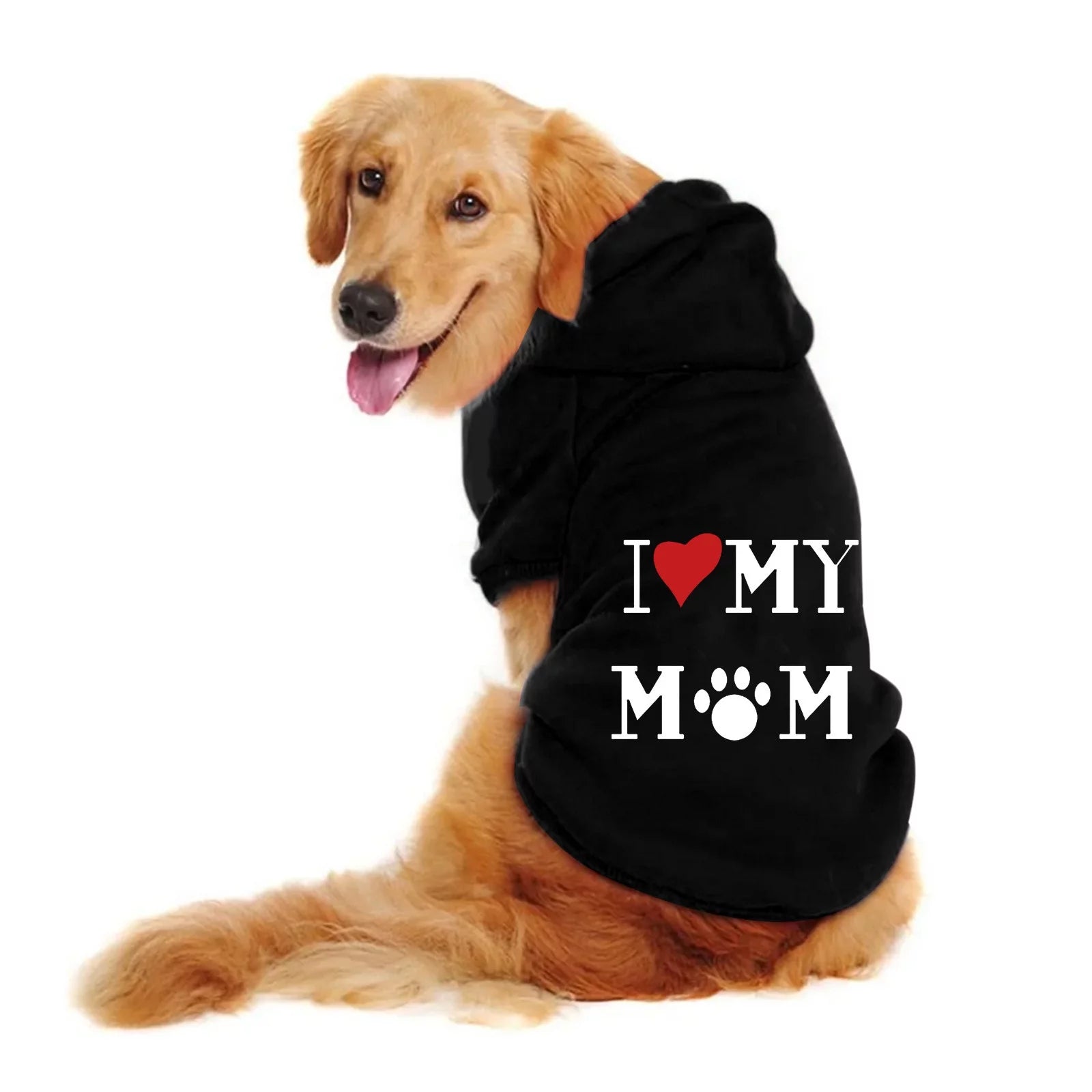 matching dog sweater