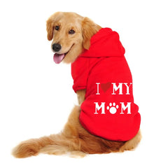 matching dog sweater